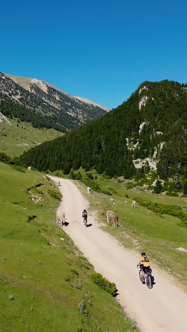 THE ADVENTURE is calling you! What are you waiting for singing in THE CAPITALS 2025 by @pedalma_cycling 

Cycle with your gravel bike during more than 5 days while discovering the variety of Catalunya. 

🖥️More info & registrations:

www.pedalma.cc

😊Thanks!
@geosminacomponents
@gsport_apparel
@finisher_es
@davimarentacar

#pedalma #thecapitals #bikepacking #ultracycling #cycling #adventure #rideyourbike #bycicle #cyclinglife