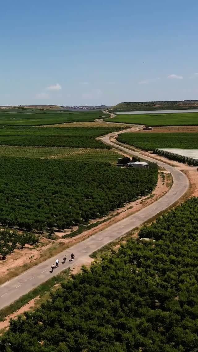 🌡️NADIE DIJO QUE FUERA FÁCIL🧊
Las altas temperaturas son típicas del recorrido de Madrid to Barcelona, así que cada uno lo supera como puede!

¿Tú también eres de hielo en la espalda?

—

🌡️NO ONE SAID IT WAS EASY🧊
High temperatures are typical of the Madrid to Barcelona route, so everyone handles it as best they can!

Do you also have ice on your back?

💻All INFO

www.pedalma.cc (Link in BIO)

😊Thanks!
@geosminacomponents
@gsport_apparel
@finisher_es
@davimarentacar

#pedalma #madridtobarcelona #ultracycling #cycling #adventure #bycicle #bikepacking #rideyourbike